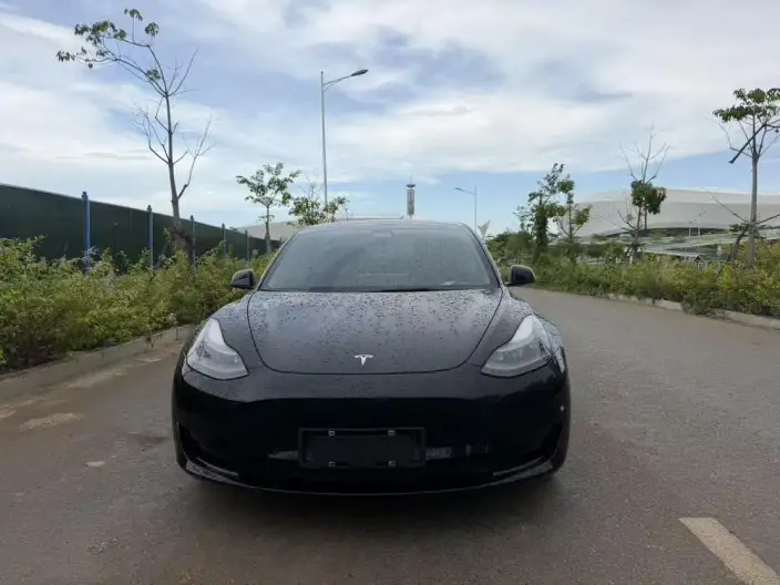 Model 3 2022 Model Rear-wheel drive version – фото 2