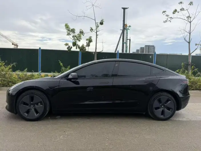 Model 3 2022 Model Rear-wheel drive version – фото 3