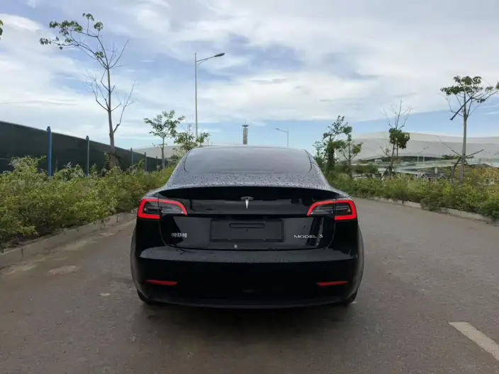 Model 3 2022 Model Rear-wheel drive version – фото 4