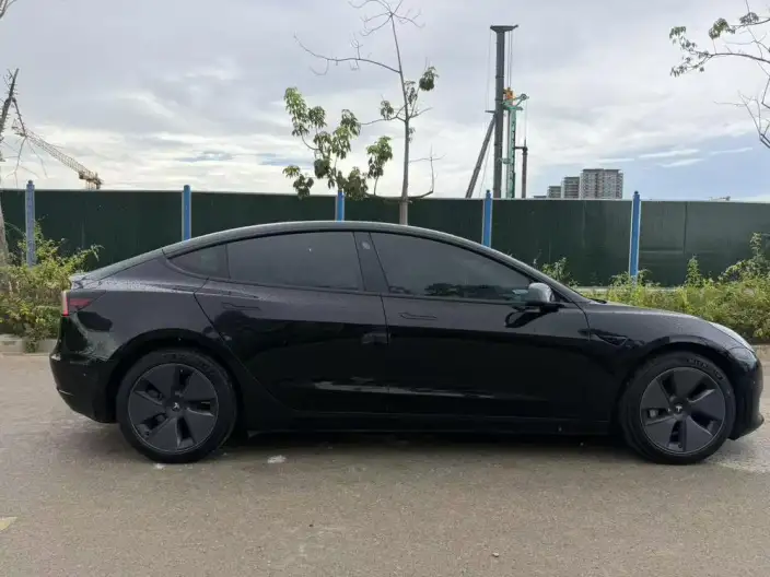 Model 3 2022 Model Rear-wheel drive version – фото 5