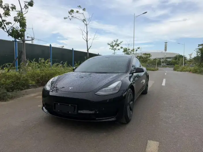 Model 3 2022 Model Rear-wheel drive version – фото 10