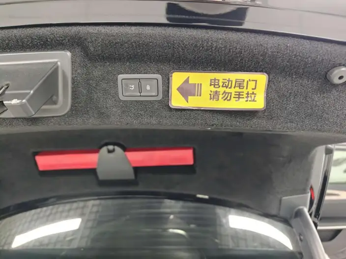 HONGQI H9 2023 Model 2.0T Smart Flag Enjoy Edition – фото 9