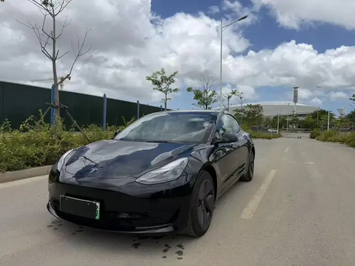 Model 3 2022 Model Rear-wheel drive version – фото 1