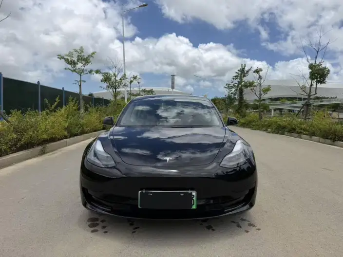 Model 3 2022 Model Rear-wheel drive version – фото 2