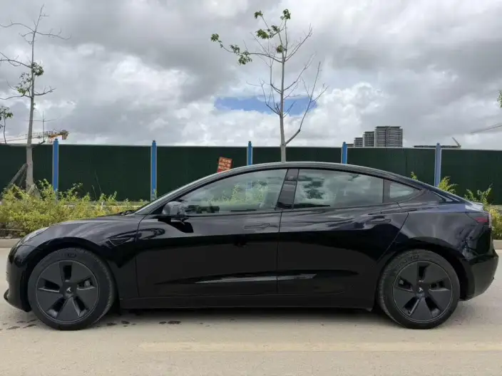 Model 3 2022 Model Rear-wheel drive version – фото 3