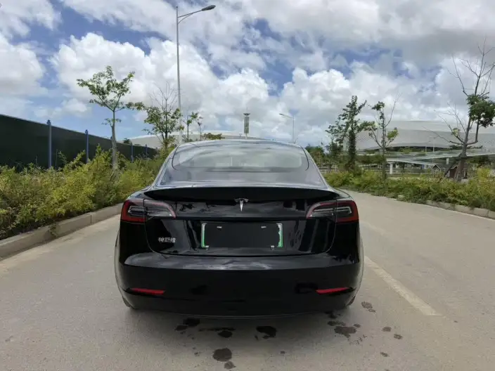 Model 3 2022 Model Rear-wheel drive version – фото 4