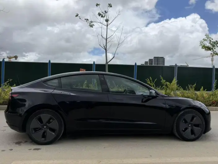 Model 3 2022 Model Rear-wheel drive version – фото 5