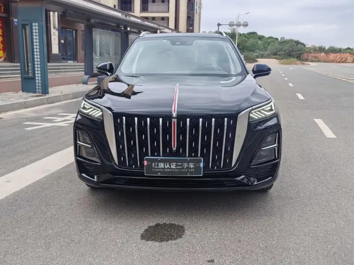 Hongqi HS5 2023 Model 2.0T Flag Xiang Pro Edition – фото 2