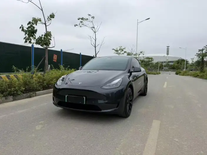 Model Y 2024 Model Rear-wheel drive version – фото 1
