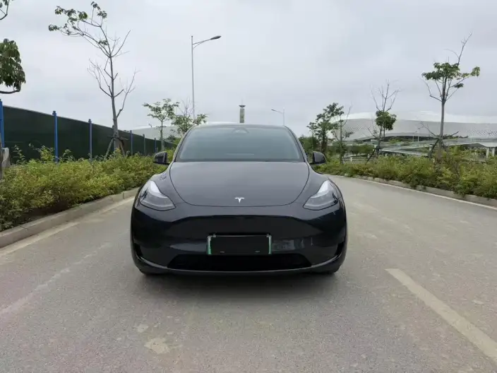 Model Y 2024 Model Rear-wheel drive version – фото 2
