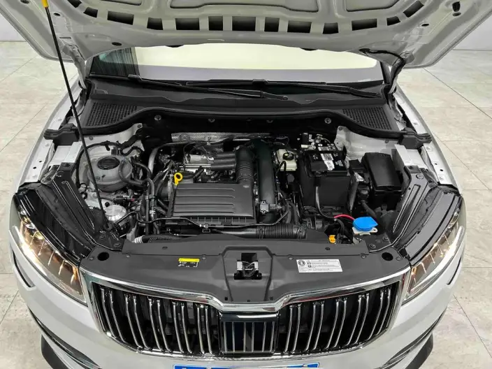 Karoq 2023 Model TSI280 Luxury Edition – фото 8
