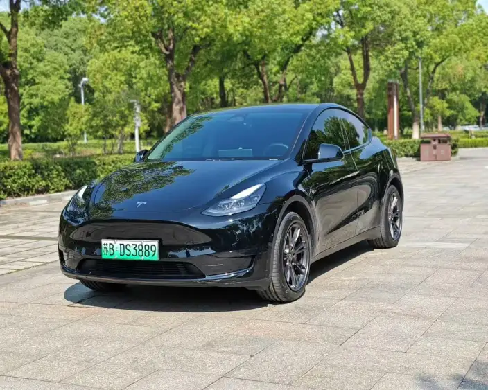 Model Y 2023 Model Rear-wheel drive version – фото 1