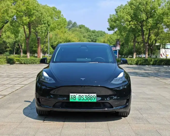 Model Y 2023 Model Rear-wheel drive version – фото 2