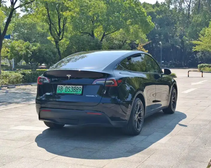 Model Y 2023 Model Rear-wheel drive version – фото 6