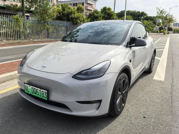 Model Y 2022 Model Facelift Rear-wheel drive version – фото 1