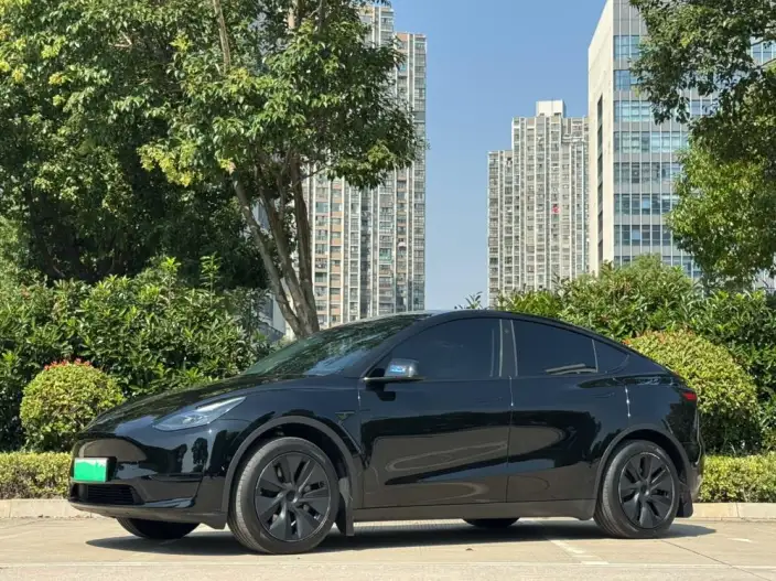 Model Y 2023 Model Rear-wheel drive version – фото 1
