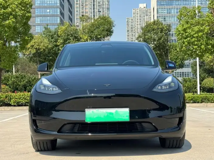 Model Y 2023 Model Rear-wheel drive version – фото 2