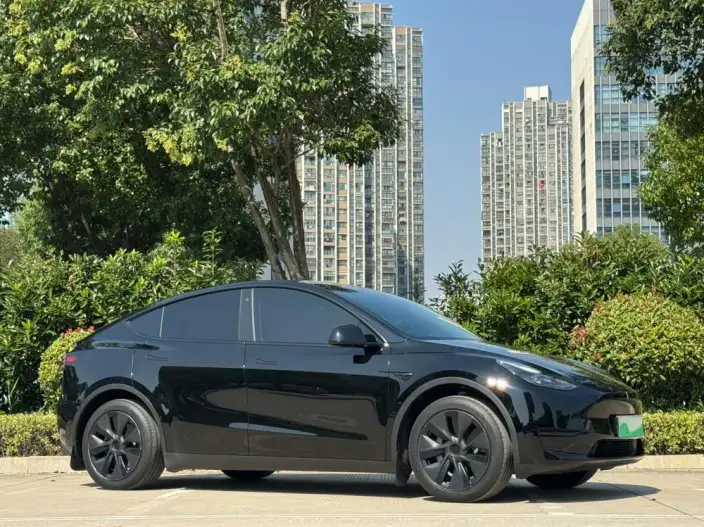 Model Y 2023 Model Rear-wheel drive version – фото 3