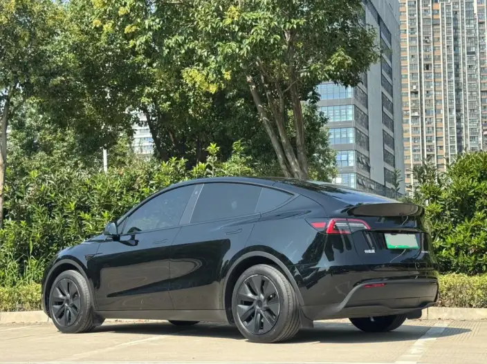 Model Y 2023 Model Rear-wheel drive version – фото 5