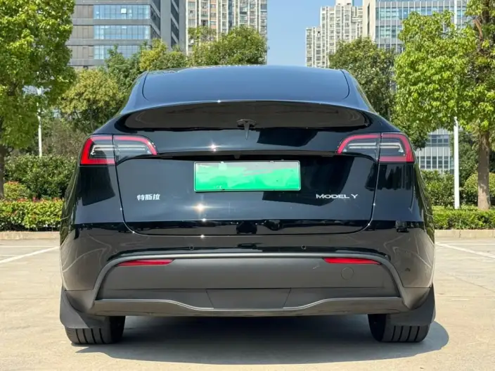 Model Y 2023 Model Rear-wheel drive version – фото 6