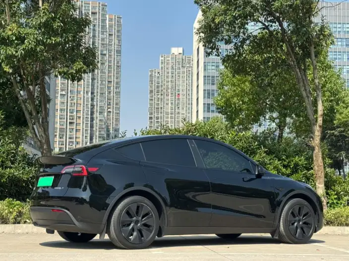 Model Y 2023 Model Rear-wheel drive version – фото 7