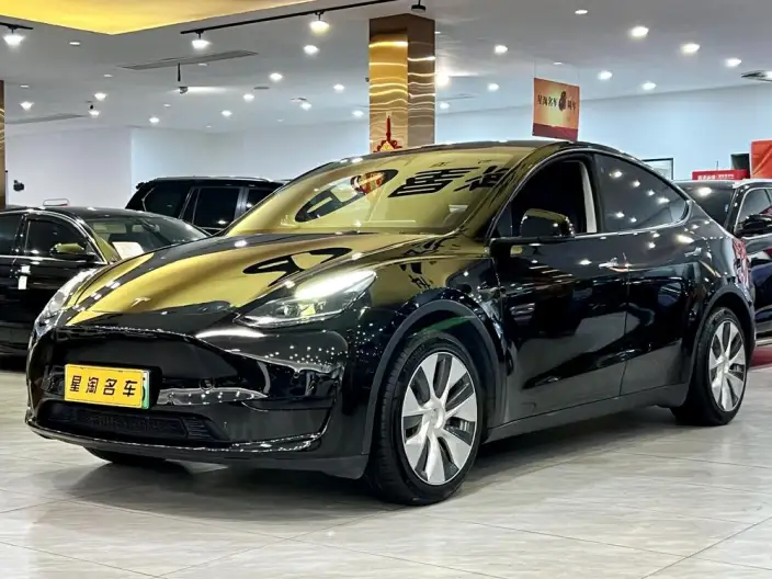 Model Y 2022 Model Rear-wheel drive version – фото 1