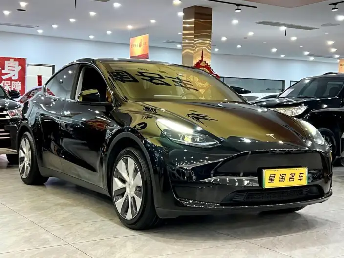 Model Y 2022 Model Rear-wheel drive version – фото 3