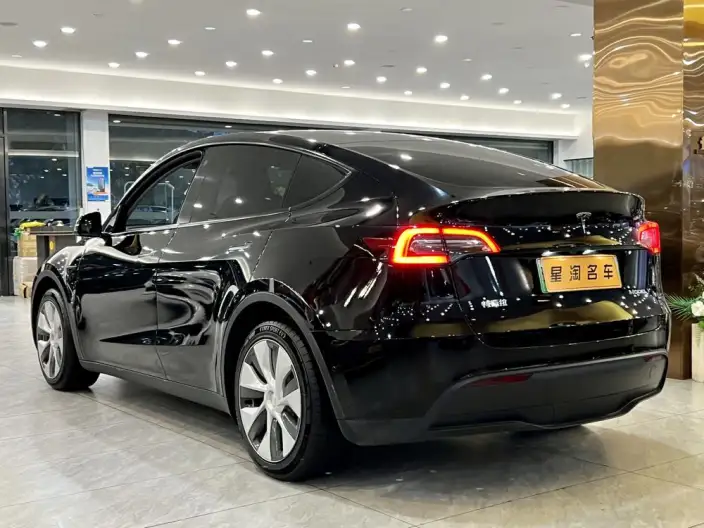 Model Y 2022 Model Rear-wheel drive version – фото 4