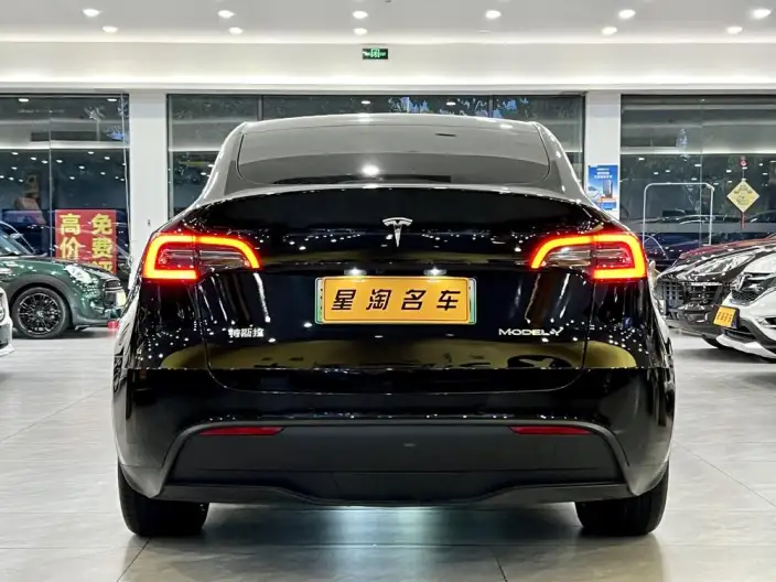 Model Y 2022 Model Rear-wheel drive version – фото 5