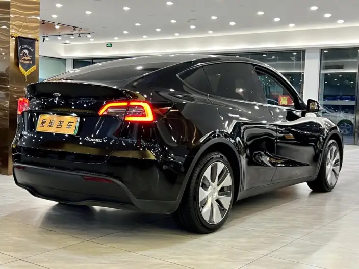 Model Y 2022 Model Rear-wheel drive version – фото 6
