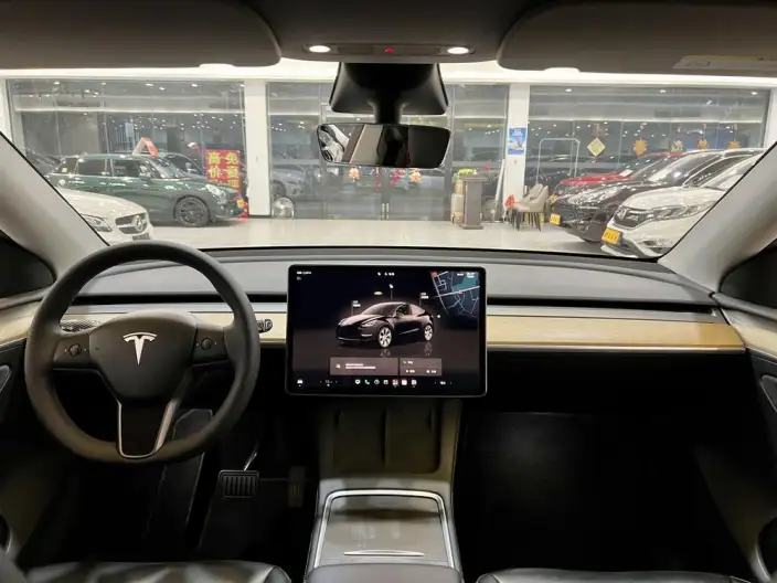 Model Y 2022 Model Rear-wheel drive version – фото 9