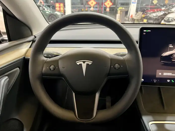 Model Y 2022 Model Rear-wheel drive version – фото 10