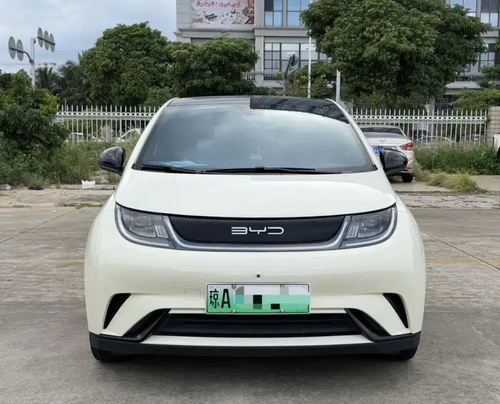 BYD Dolphin 2023 Model Fashion Edition – фото 2
