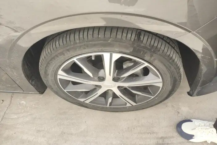 Geely Emgrand 2023 Model No. 4 Gen Champion Edition 1.5L CVT Noble Model – фото 9