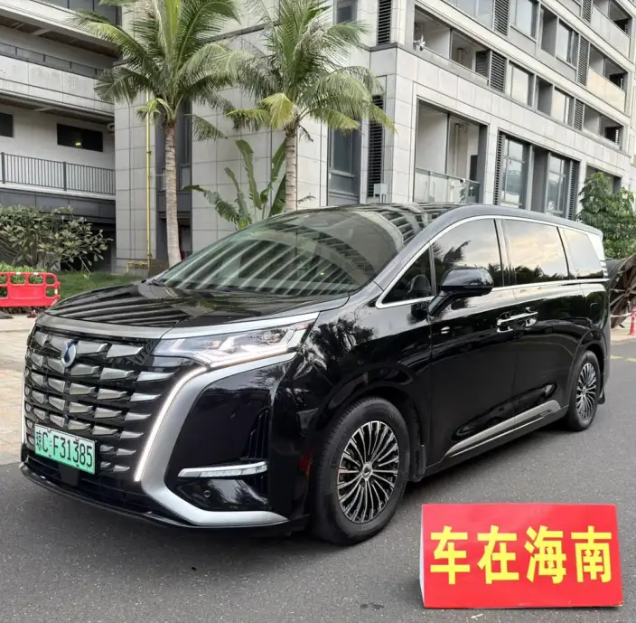 DENZA D9 DM 2022 Model 970 4WD Flagship Model – фото 10