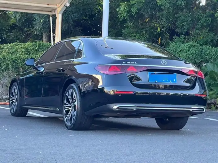 Mercedes-Benz E-Class 2025 Model Facelift E 300 L Luxury Model sedan – фото 4