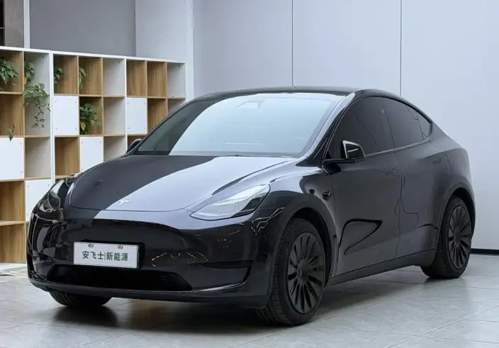 Model Y 2024 Model Rear-wheel drive version – фото 1