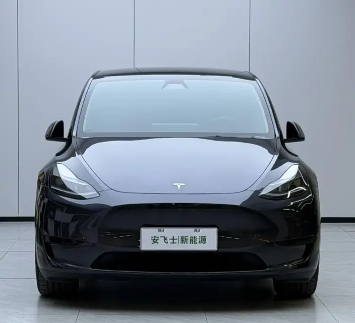 Model Y 2024 Model Rear-wheel drive version – фото 2