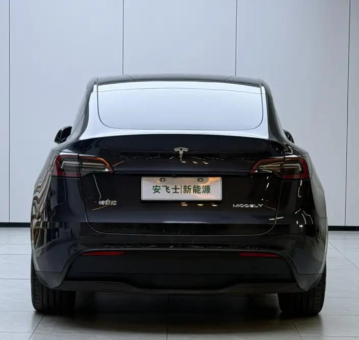 Model Y 2024 Model Rear-wheel drive version – фото 4