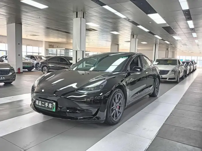Model 3 2022 Model Rear-wheel drive version – фото 1