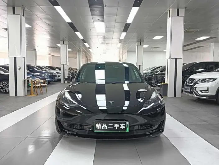 Model 3 2022 Model Rear-wheel drive version – фото 2