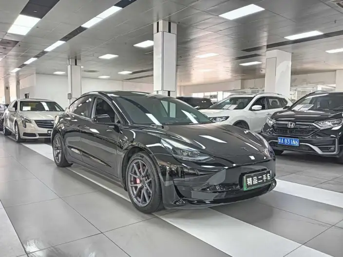 Model 3 2022 Model Rear-wheel drive version – фото 3