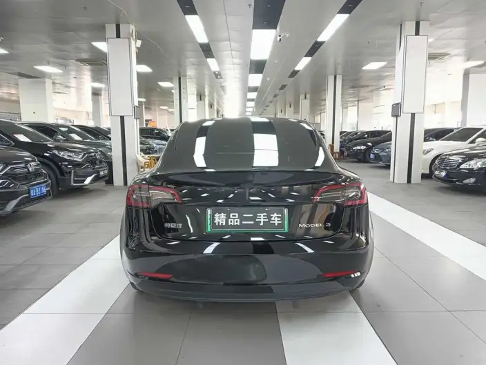 Model 3 2022 Model Rear-wheel drive version – фото 5
