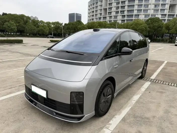 Li Auto MEGA 2025 Model Home Family Special Edition – фото 1