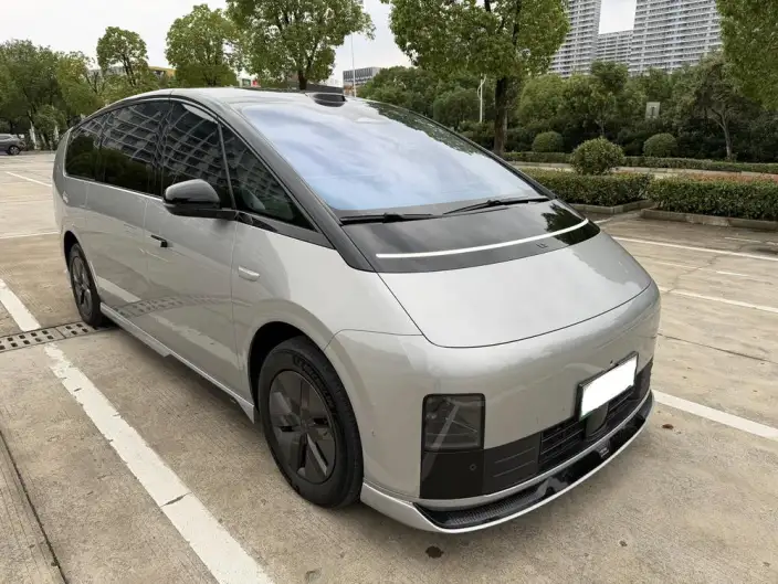 Li Auto MEGA 2025 Model Home Family Special Edition – фото 3