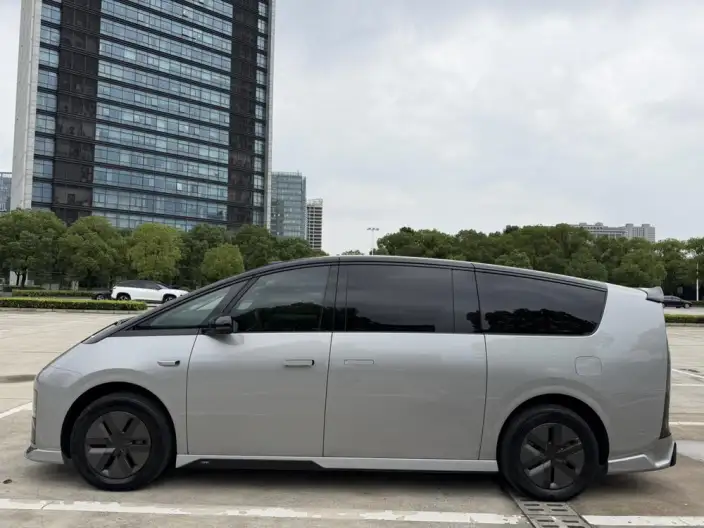 Li Auto MEGA 2025 Model Home Family Special Edition – фото 4