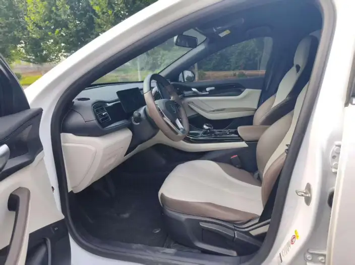 BYD Qin PLUS DM 2023 Model DM-i Champion Edition 55KM Leading Model – фото 8