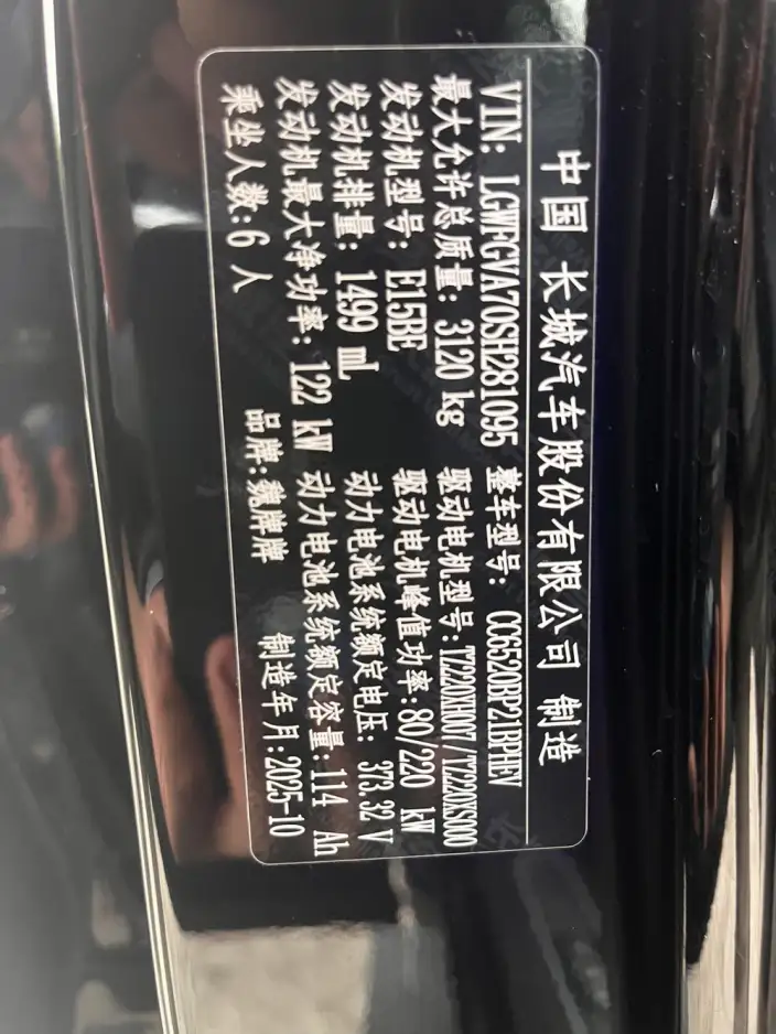 Wey Blue Mountain 2026 Model Smart Advanced version 4WD Max – фото 8