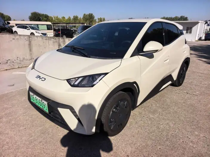 BYD Seagull 2025 Model 305KM Vitality Edition – фото 1