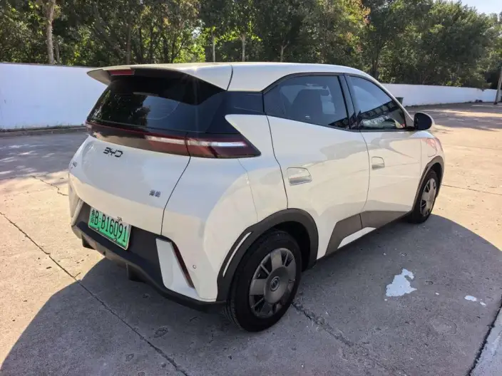 BYD Seagull 2025 Model 305KM Vitality Edition – фото 6